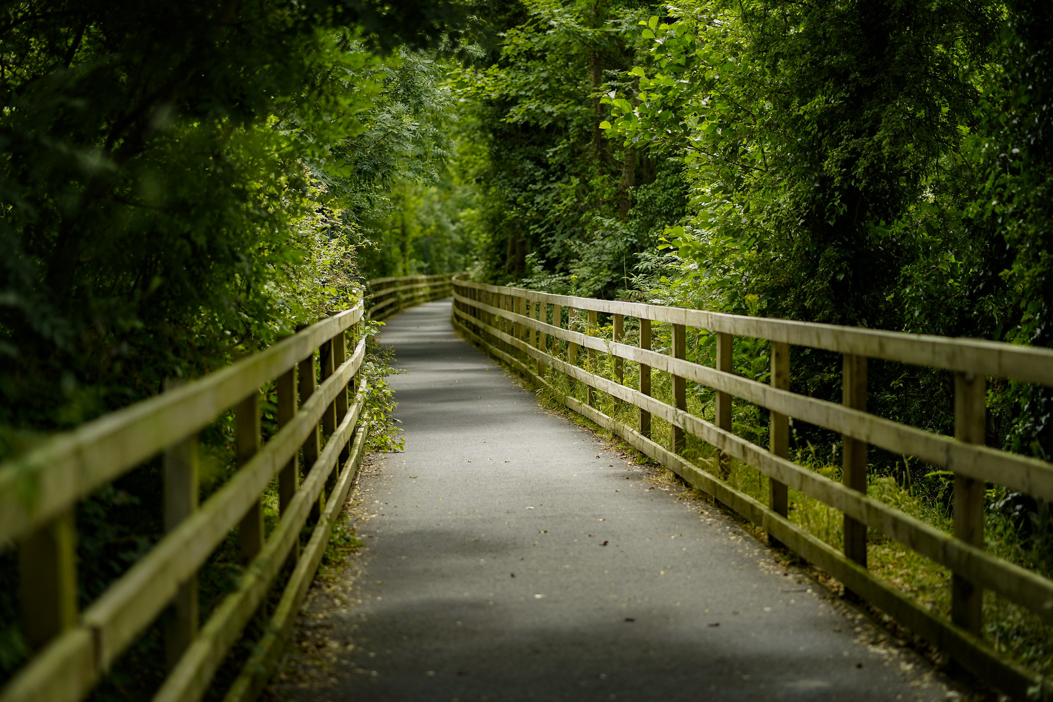 Lough Derg Way